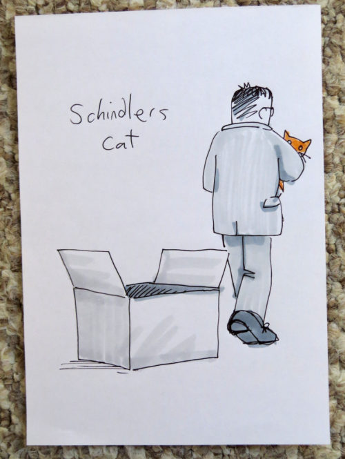 Schindler's Cat